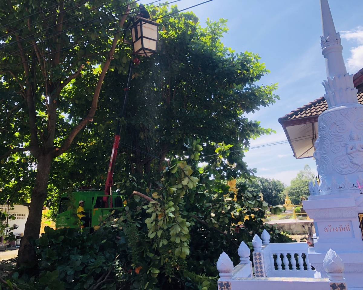 ลงพื้นที่วัดอรัญญิกาวาส บ้านศรีสำราญ หมู่ 8 ตัดต้นไม้ที่มีขนาดใหญ่ ซึ่งมีความสูงและแผ่กิ่งก้านปกคลุมอุโบสถ เกรงจะเกิดอันตรายหากเกิดพายุลมแรงทำให้ต้นไม้ล้มทับอุโบสถได้